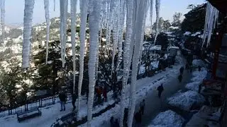 Watch | Heavy snowfall continues in Shimla