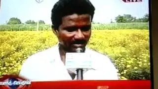 vasanth tv news cuddalore samanthi flower