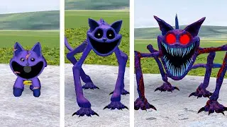 EVOLUTION OF NAPPY CAT IN GARRYS MOD