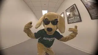 Our Interns Made This Video... We Posted It