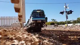 CBH