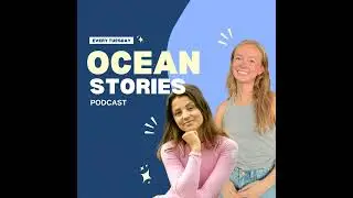 Casual Shark Trivia & Chats