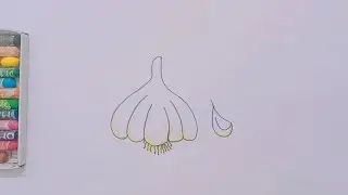 How To Draw A Garlic 🧄 | Easy Drawing Practice And Coloring For Kids