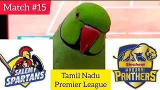 Salem Spartans vs Siechem Madurai Panthers - Tamil Nadu Premier League 2023 - Parrot Prediction