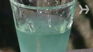 How to Drink Absinthe