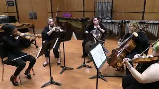 Sticks and Strings, Fall 2024