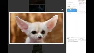 VueJS + Vuex + Vue debug tools