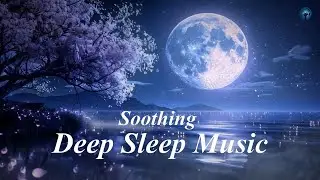 1 Hour Soothing Deep Sleep Music [01]: Healing Relaxation Music for Insomnia & Stress Relief 🌙✨