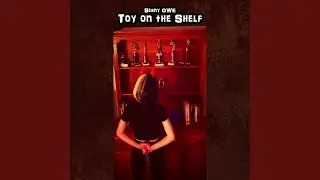 Toy on the Shelf