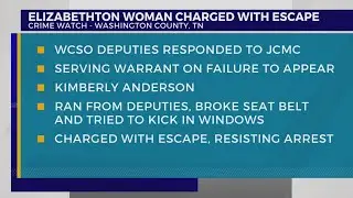 WCSO: Woman charged with escape, damages police cruiser