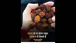 New mahakal baba status | उज्जैन के महाकाल | Mahakal status | महाँकाल स्टेटस |
