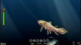 Potco: Test server update August 8 2010 Fishing At New Island