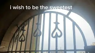 my video art piece: 'my wishes'
