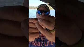 Mastering The Art Of Trout Trolling: The Ultimate Guide To Rigging Grubs! #trout #fishing #trolling