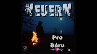 NeuerN - Pro B&aacute;ru ( text - Petr Bos&aacute;k)