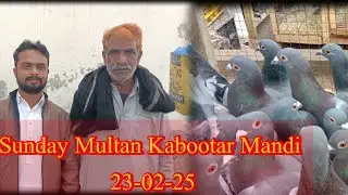 Sunday Multan Kabootar Mandi Prize Update||