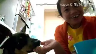 BOILED EGGS AND COFFEE FOR MY BREAKFAST WITH COOKIE GIRL OUR DOG 🤣🤣