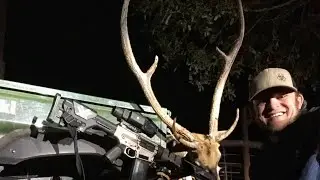 AXIS DEER HUNT | Thermal Hunting