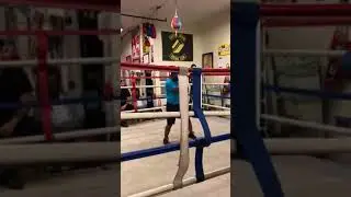 Lex sparring