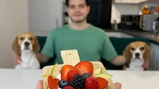 COOKING WITH BEAGLES | Fruit Tart 🍓🫐