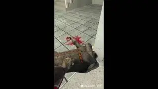 vr mod maps