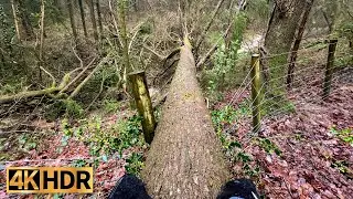 4K HDR Virtual Walking Pontrobert - Pen-y-Ffridd, Powys, Wales - Amazing Nature