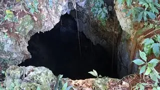 A tour of the Secret Cenote Caves of Cabarete. Way Beyond the Tourist caves & deep into the jungle.