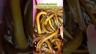 Panen Belut Jumbo #viralvideo #funny #animals #reel #funnyanimals #alam #fishing #belut