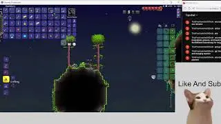 playing terraria in calanity mod