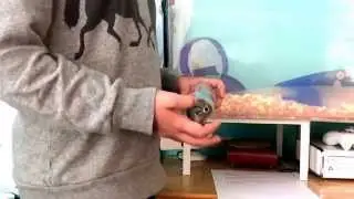 &bull;My Small Animal Products ~Zoe&bull;