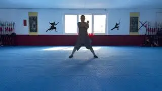 Shaolin Tong Bei Quan