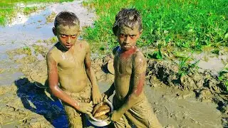 Two small children are fishing from the bill Poisonous Thorn Fish Catching