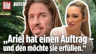 DSCHUNGELCAMP Tag 13: Krone oder Konflikt? Darum spitzt sich der Showdown zwischen Gil & Ariel zu