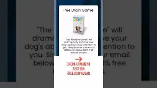 #dog Training Games #shorts