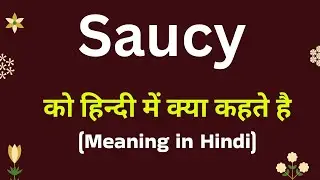 Saucy meaning in hindi || saucy ka matlab kya hota hai || word meaning english to hindi