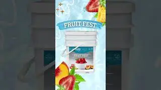 Fuel your adventures with Fruit Fest Freeze Dried Fruit