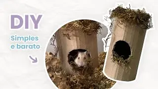 DIY - Toca de papelão para HAMSTER