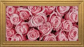 Valentine&rsquo;s Pink Rose Background Art 4K &ndash; Romantic Floral Wall Display for Frame TV