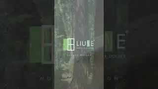 Liune double door with syncronizing door system #shorts #slidingdoors #doubledoor #interiordesign