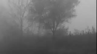Familiar Signals