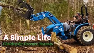 Clearing land to save cost | raised beds for spring garden