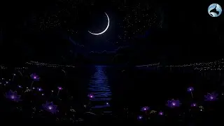After Just 3 Minutes You'll Drift Into Deep Sleep (NO ADS) &bull; Instant Insomnia Cure, Stress Relief