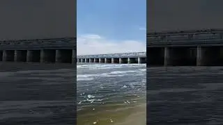 River Yamuna #india #river #yamuna #uttarpradesh #environment #vrindavan #youtubeshorts
