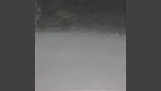ecofuturism
