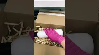 Co zam&oacute;wiła Pani Paulina?