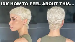 I Accidentally Gave Myself a Platinum Mullet...