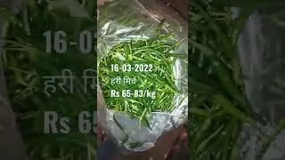 Today's green chilli price Rs 65-83/kg