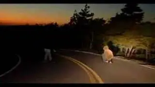 Longboarding Cadillac Mountain