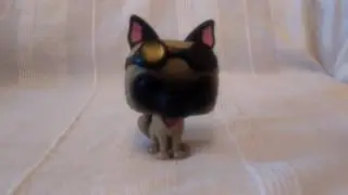 Dogmeat funko pop unboxing