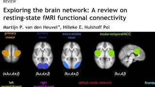A Review About Functional Connectivity ｜ Benefit of resting-state fMRI